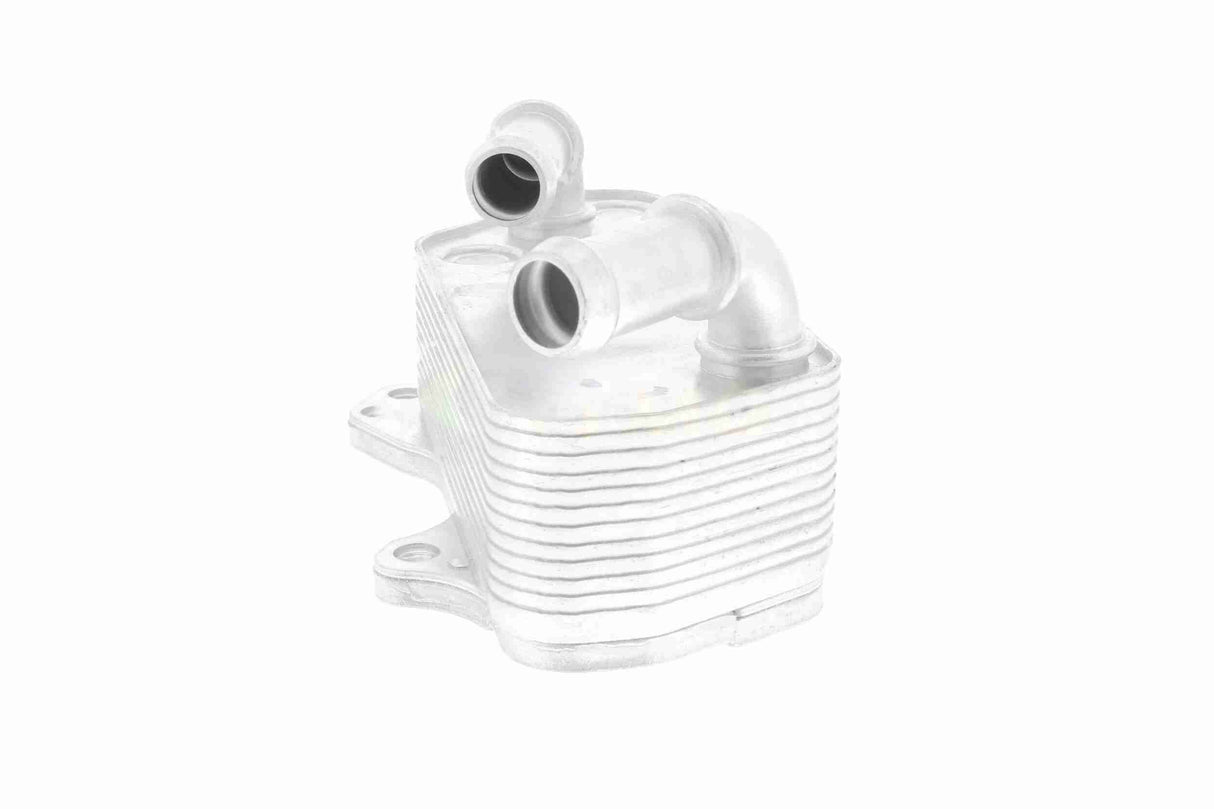 Oil Cooler, engine oil - V40-60-2118