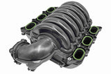 Intake Manifold Module - V10-7975