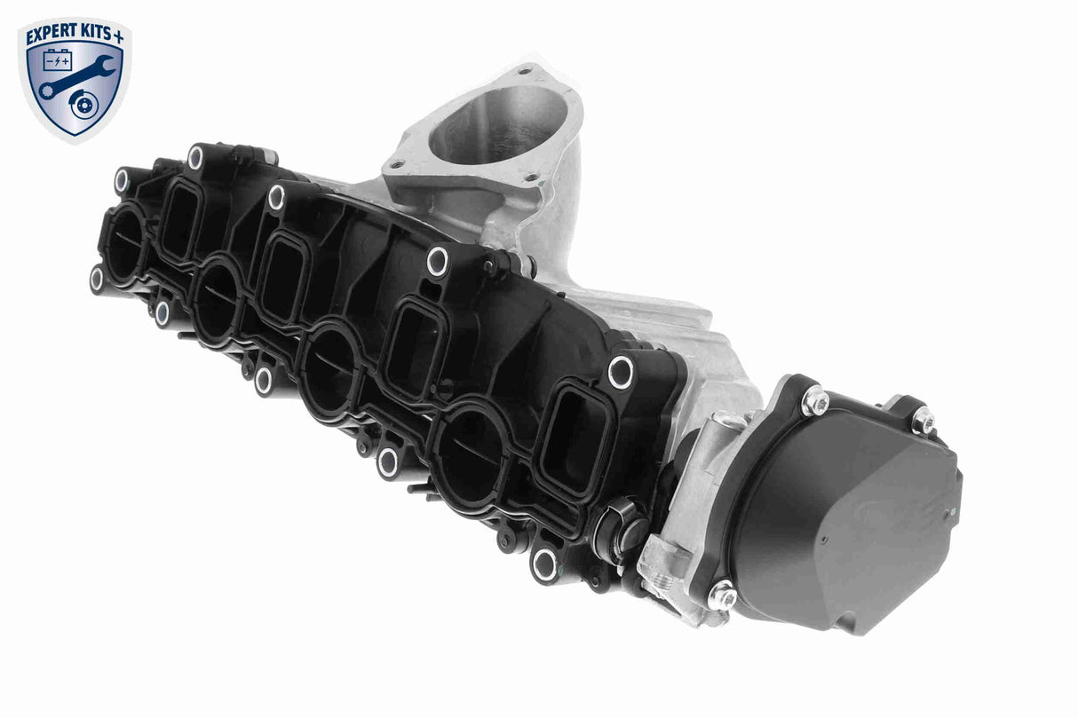 Intake Manifold Module - V10-5268