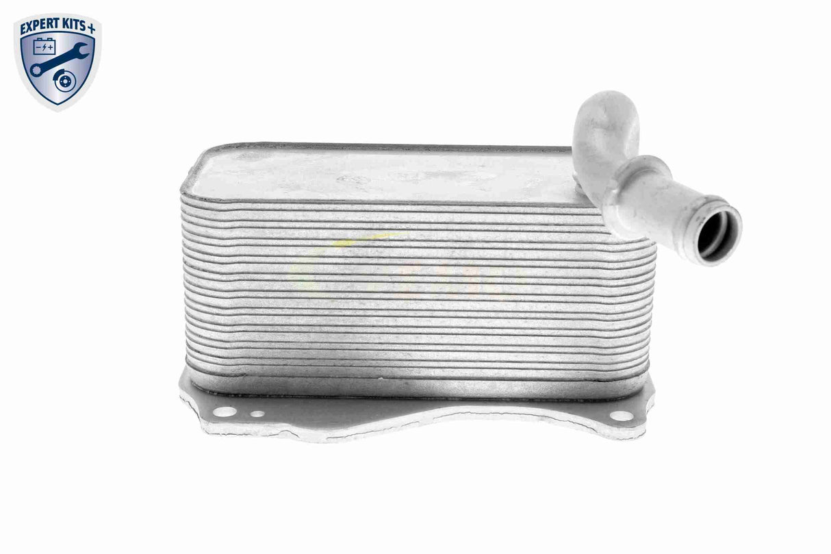 Oil Cooler, engine oil - V30-60-1342