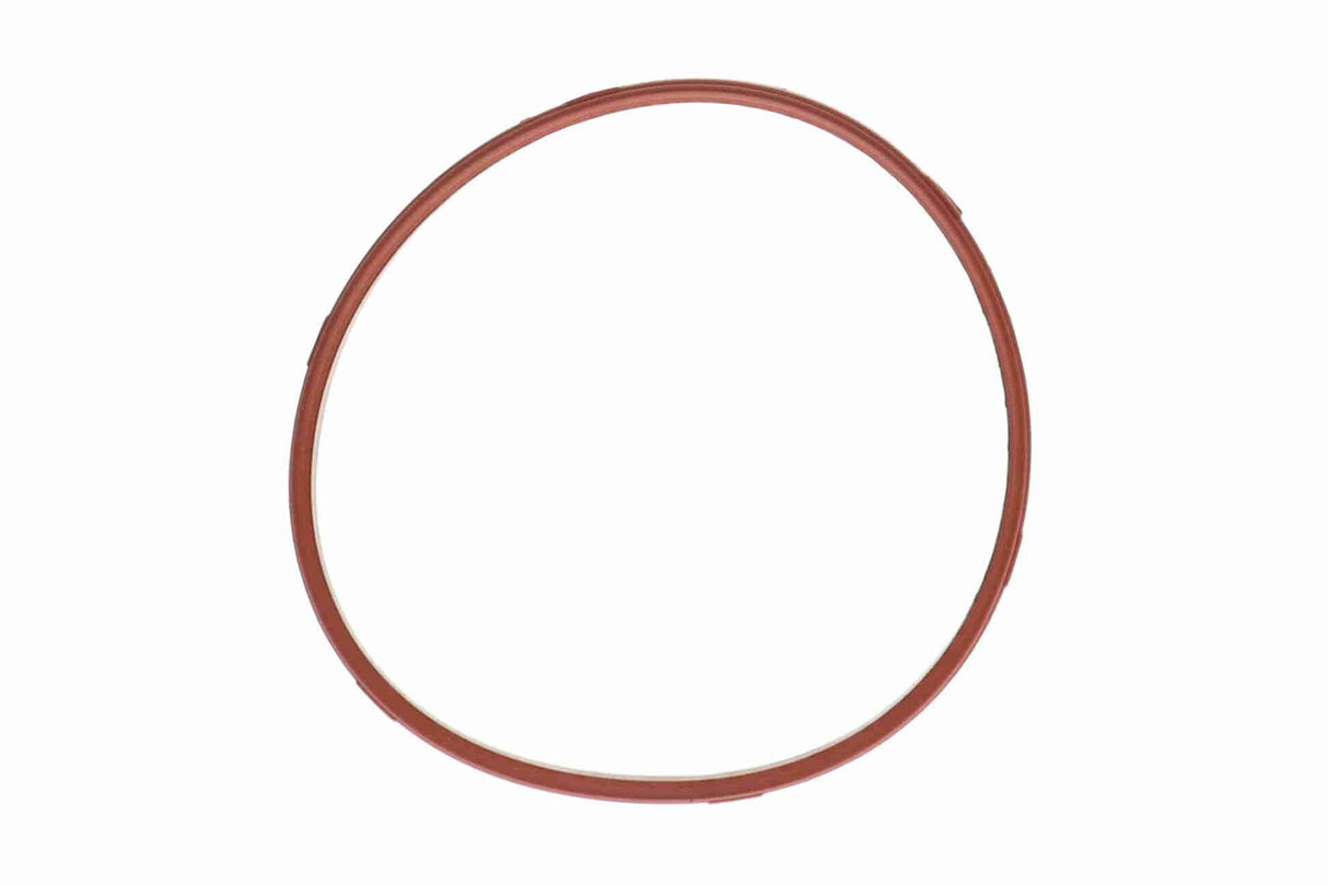 Throttle Body - V20-81-0029