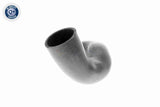 Charge Air Hose - V95-0352