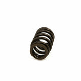 Vauxhall Astra J VXR GTC A20NFT – Piper Cams Single Conical Spring Kit