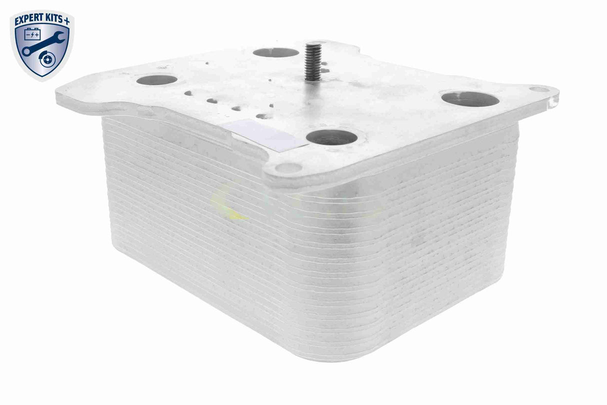 Oil Cooler, engine oil - V25-60-0042