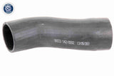 Charge Air Hose - V42-0592