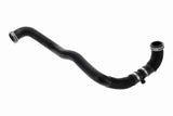 Radiator Hose - V46-1976