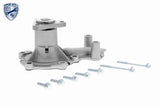 Timing Belt Kit - V25-3148