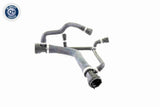 Radiator Hose - V20-0874