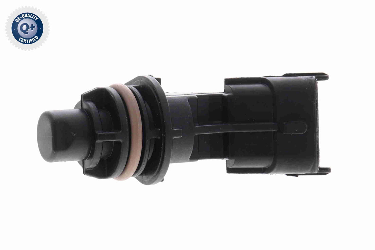 Sensor, camshaft position - V25-72-0136