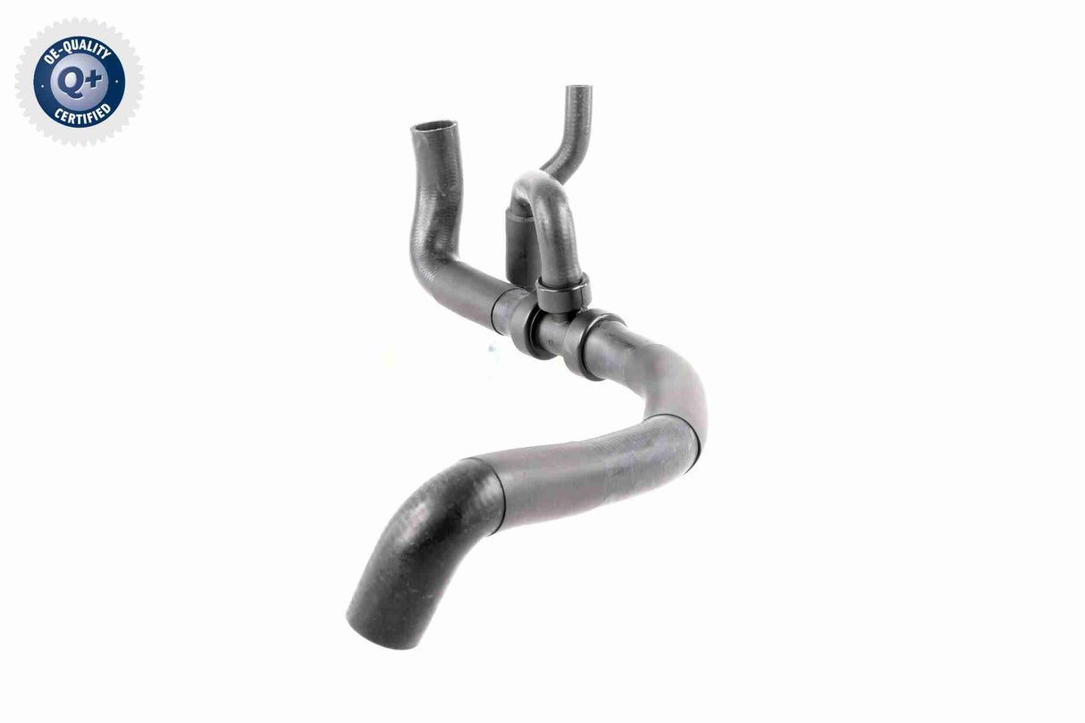 Radiator Hose - V10-2813