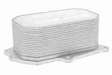 Oil Cooler, engine oil - V40-60-2115