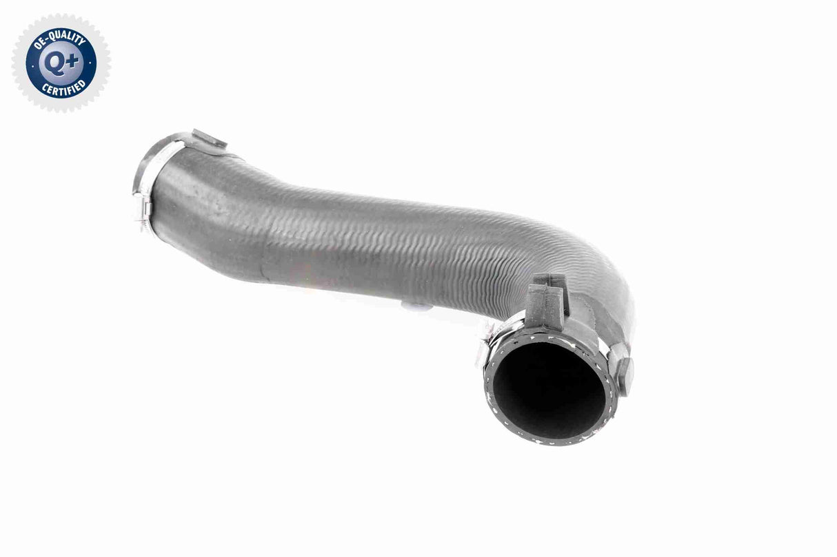 Charge Air Hose - V42-0584