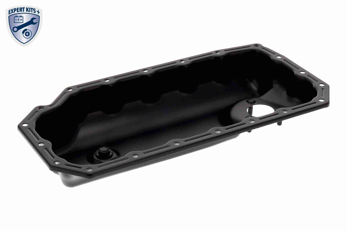Oil Sump - V10-8009