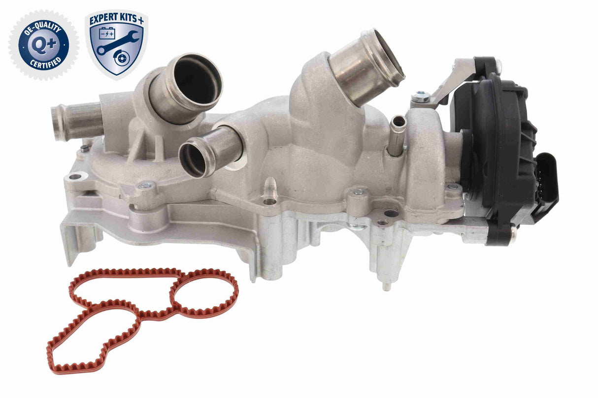 Water Pump & Timing Belt Kit - V10-50114-XXL