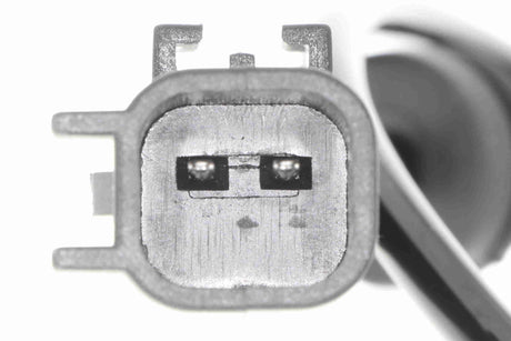 Sensor, wheel speed - V25-72-1299