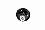 Shock Absorber - V10-4993