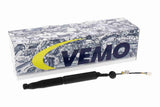 Electric Motor, tailgate - V58-55-0001