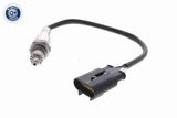 Oxygen Sensor - V24-76-0037