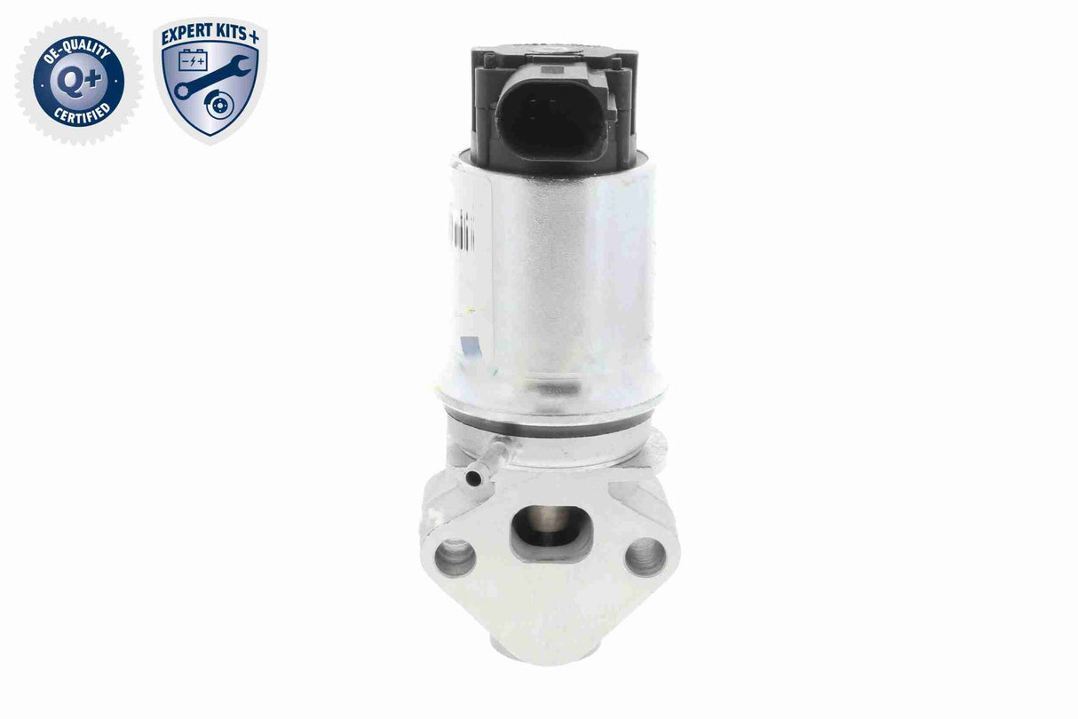 Valve, exhaust gas recirculation - V10-63-0005-1