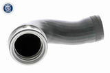 Charge Air Hose - V10-3768