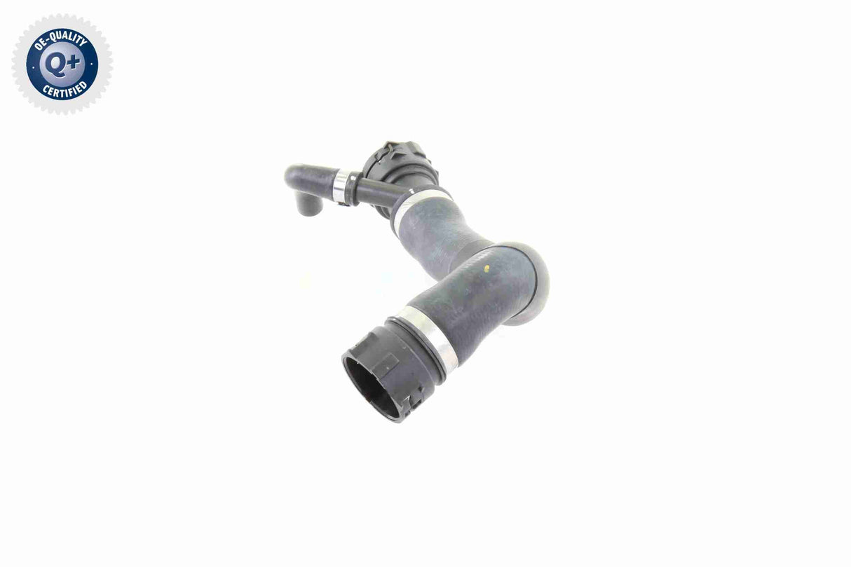 Radiator Hose - V20-1781