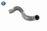 Charge Air Hose - V95-0370