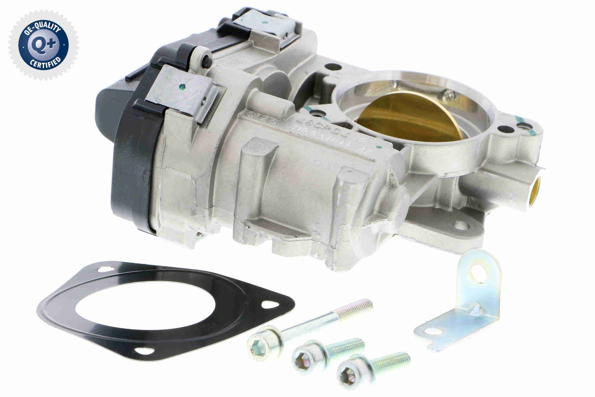 Throttle Body - V24-81-0007