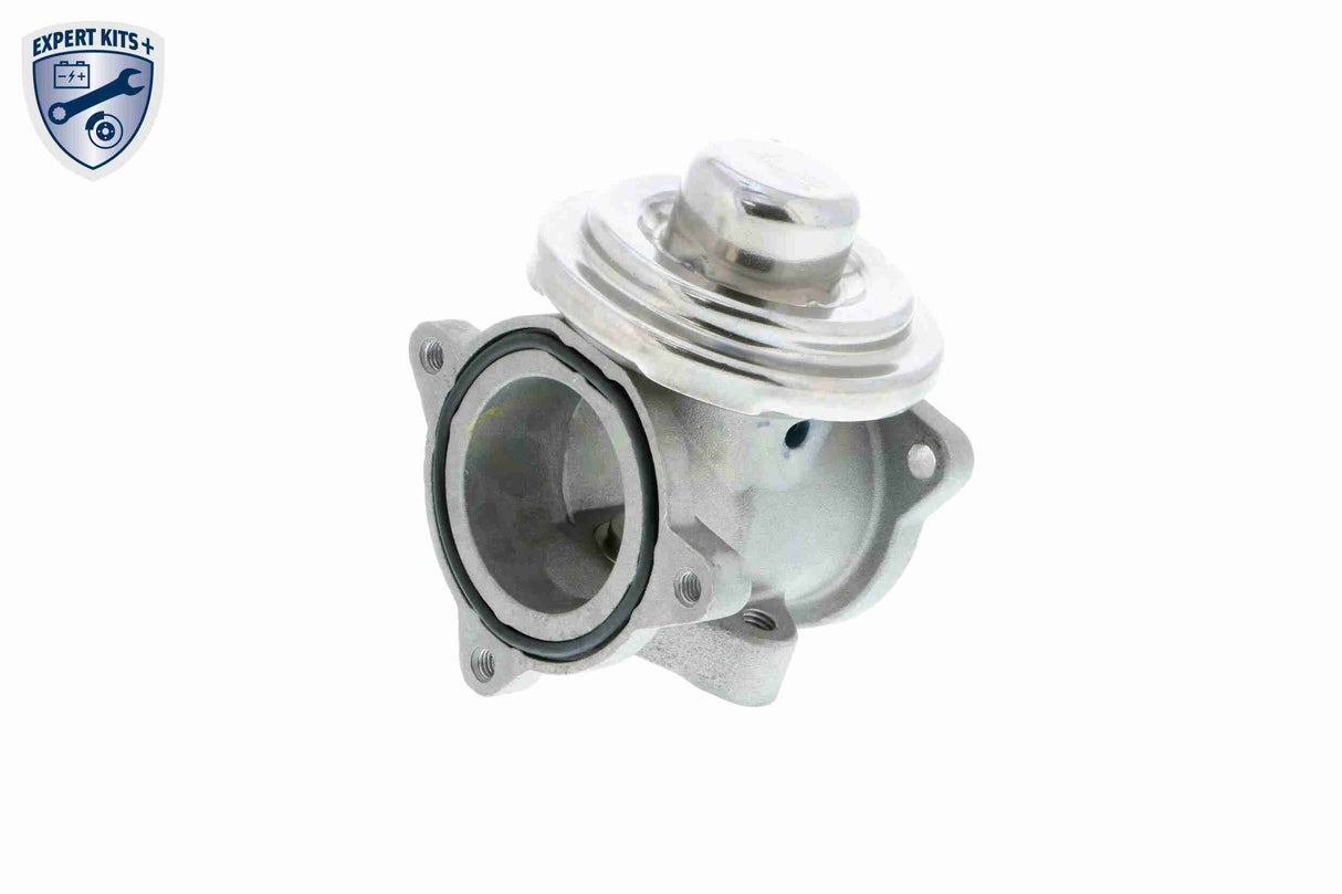 Valve, exhaust gas recirculation - V10-63-0031