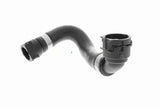 Radiator Hose - V20-3873