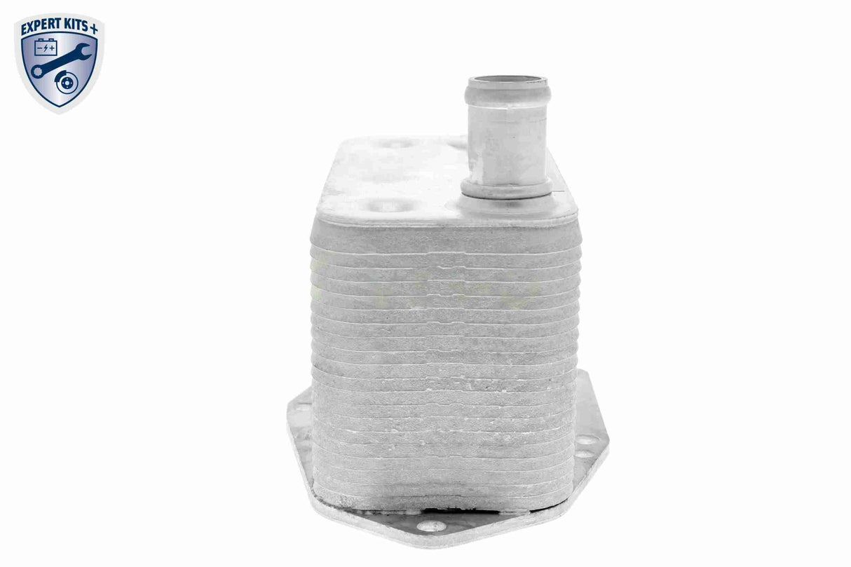 Oil Cooler, engine oil - V20-60-0057