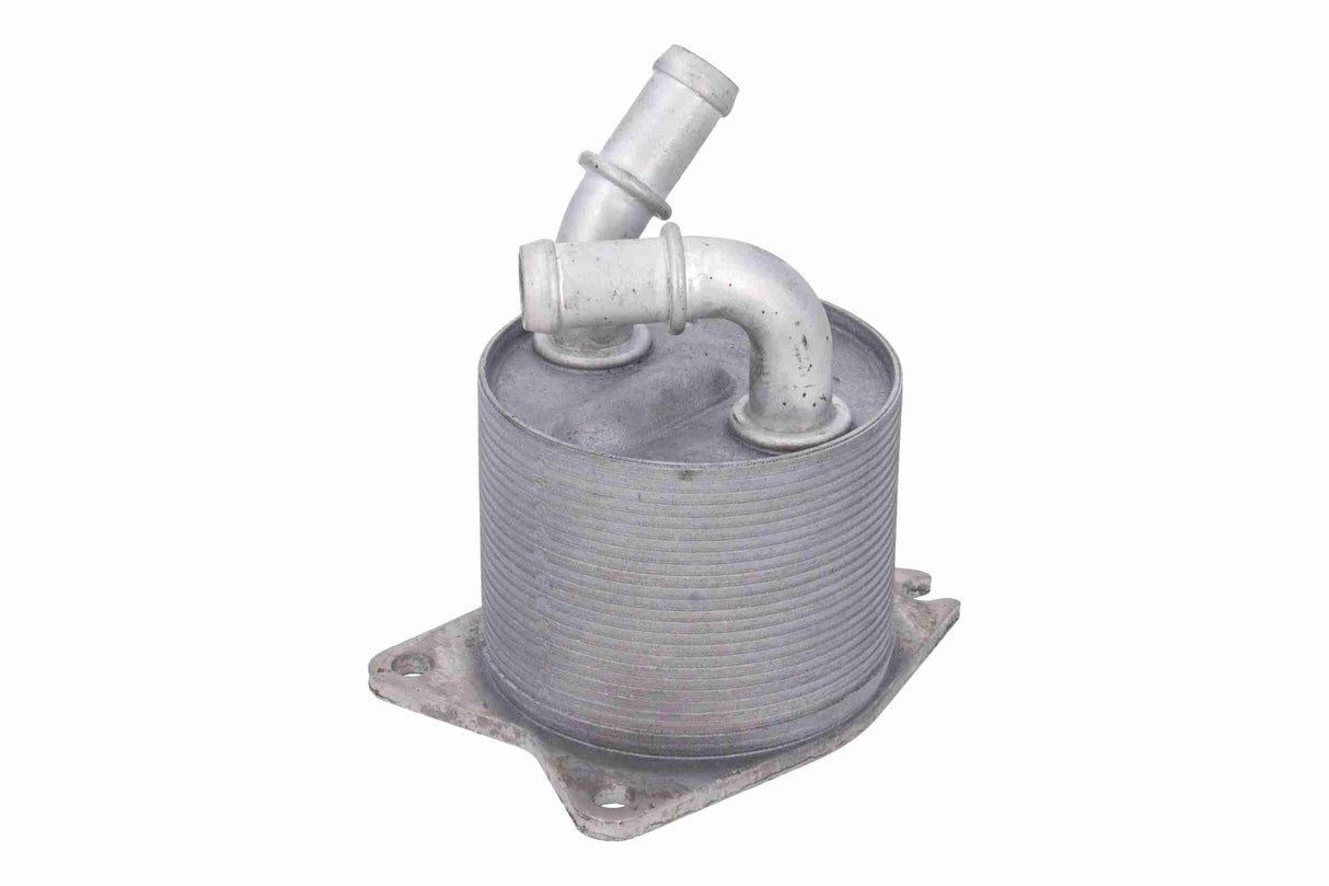 Oil Cooler, automatic transmission - V10-60-0076