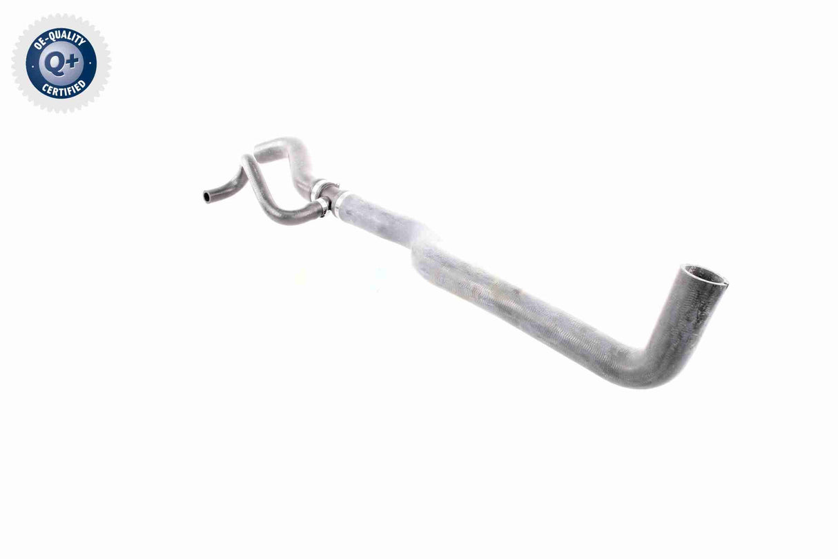 Radiator Hose - V24-0871