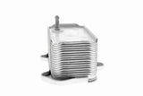 Oil Cooler, engine oil - V45-60-0003