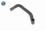 Radiator Hose - V25-1223