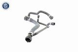 Radiator Hose - V20-0874