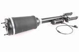 Air Suspension Strut - V30-50-0019-1