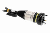 Air Suspension Strut - V30-50-0049