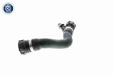 Radiator Hose - V20-1271