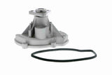 Water Pump, engine cooling - V45-50015