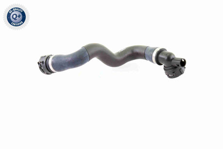 Radiator Hose - V20-1764