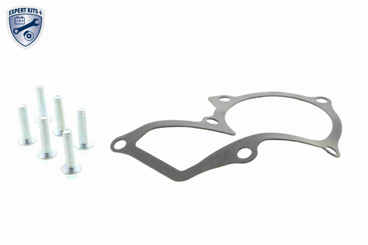 Water Pump, engine cooling - V25-50019