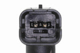 Hose, fuel overflow - V46-1346