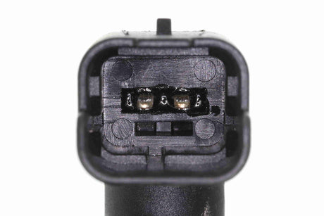 Hose, fuel overflow - V46-1346