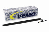 Electric Motor, tailgate - V10-55-0028
