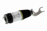 Air Suspension Strut - V58-50-0007