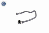 Radiator Hose - V20-1343