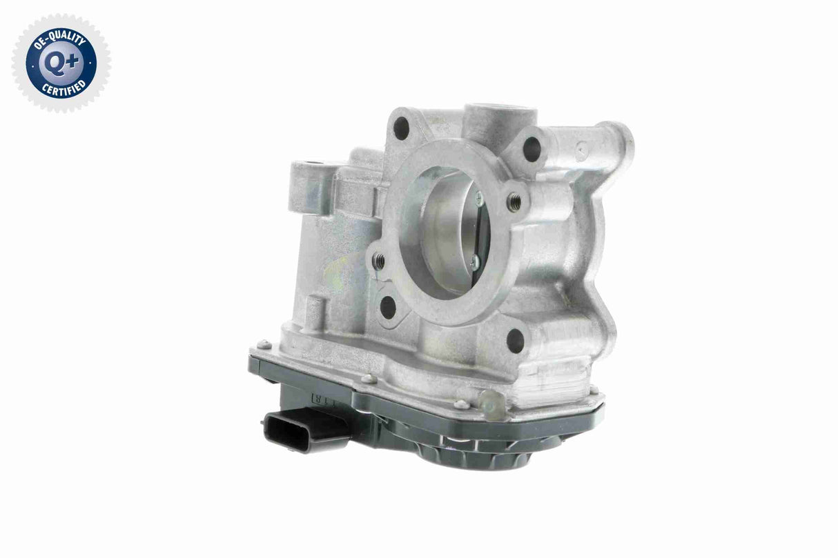 Throttle Body - V46-81-0002