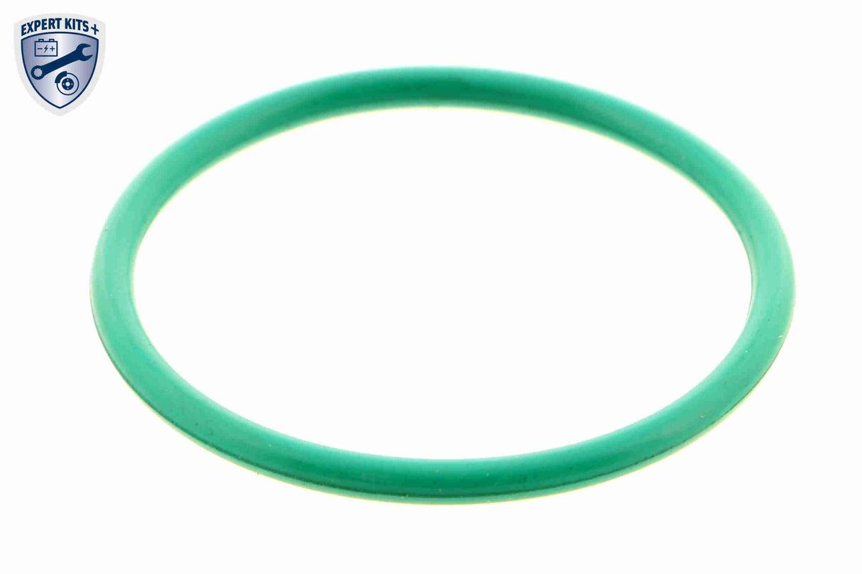 Valve, exhaust gas recirculation - V40-63-0020