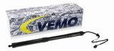 Electric Motor, tailgate - V10-55-0002