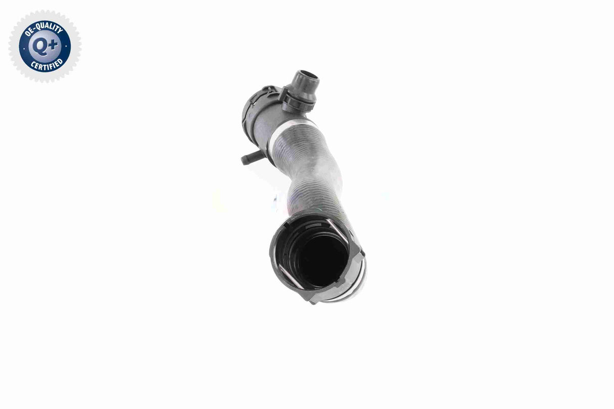 Radiator Hose - V20-3042